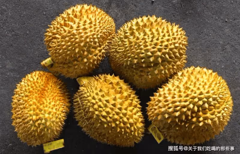 買榴槤不吃虧,牢記「4看1聞」,老闆一看就知是內行,一挑一個準