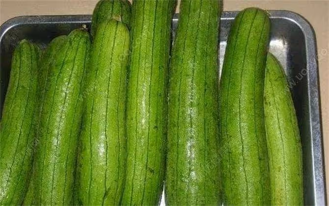 絲瓜儲存方法簡單,沒技巧沒難度,放上一年也不壞,多囤點慢慢吃