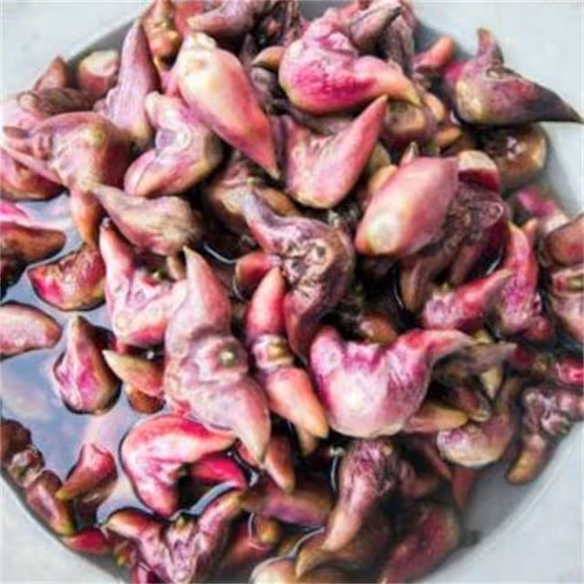 菱角既能生吃也能炒菜,但一定不要這樣吃,易損傷脾胃功能