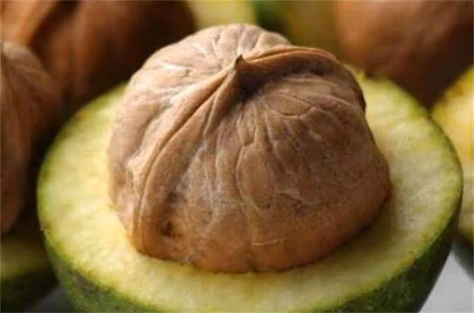 新鮮核桃放冷凍還是冷藏?核桃買多了如何保存?