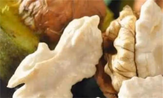 新鮮核桃放冷凍還是冷藏?核桃買多了如何保存?