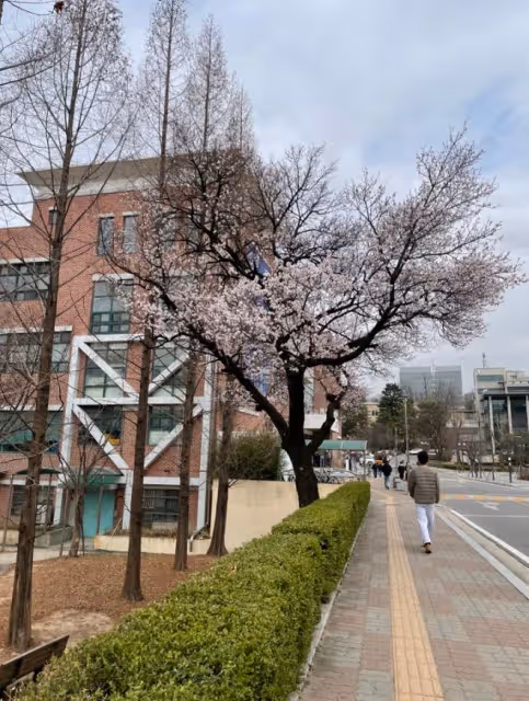 院校介紹——首爾科技大學