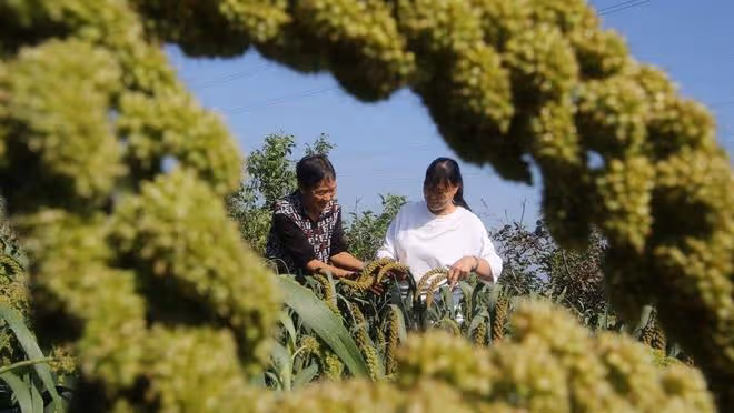 留守婦女經常讓單身大叔幫忙，引來各種非議，老公：把小人當朋友