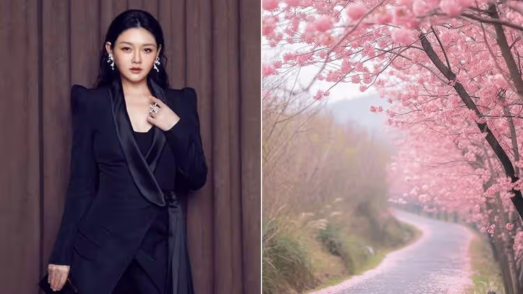 大S「只走花路」什麼意思？　于美人：典故來自金世正這首歌