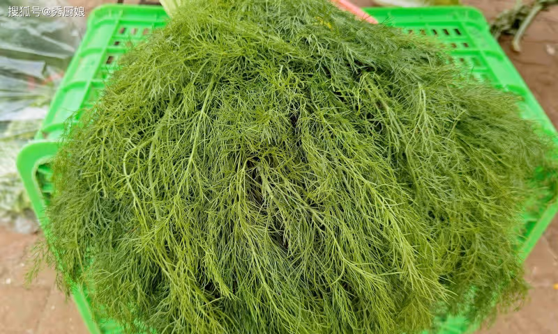 冬天這菜使勁吃,用它蒸包子,比韭菜香,比白菜鮮,現在正當季!