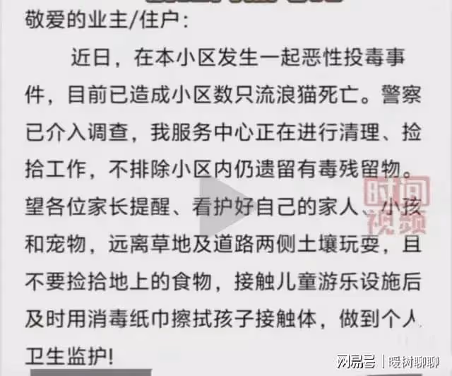 心痛!廣西南寧一小區現惡性投毒事件:十幾隻流浪貓一夜被毒死!