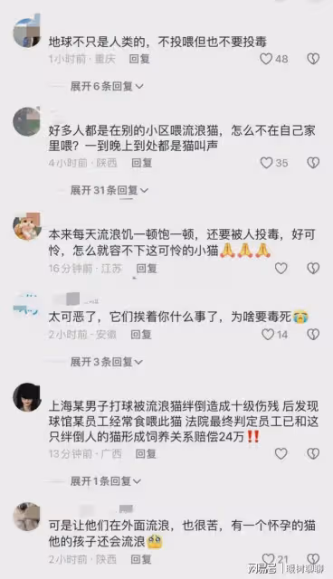 心痛!廣西南寧一小區現惡性投毒事件:十幾隻流浪貓一夜被毒死!