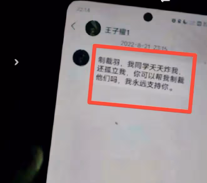 王子耀聊天記錄曝光,兇手指認現場嚇得喊媽,是獨子,案件新進展