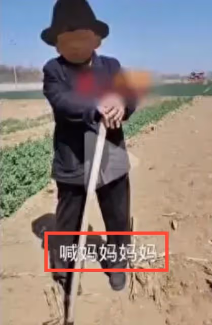 王子耀聊天記錄曝光,兇手指認現場嚇得喊媽,是獨子,案件新進展
