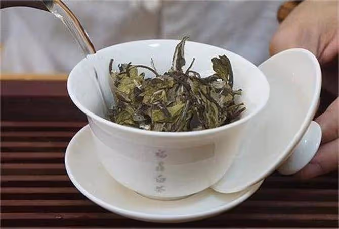 白茶如何正確沖泡?3個重要知識點,讓你茶葉發揮到淋漓盡致