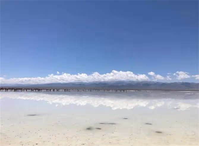 青海茶卡鹽湖的鹽可以食用嗎?茶卡鹽湖食用鹽儲量有多少?