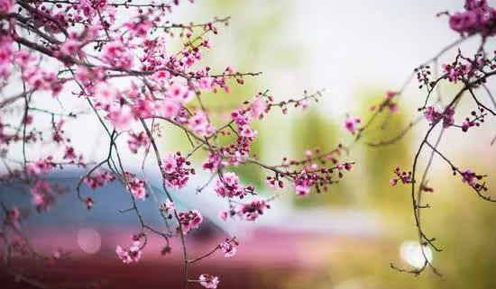 55歲女人自述:再婚找老伴要求很簡單,滿足3個條件就嫁