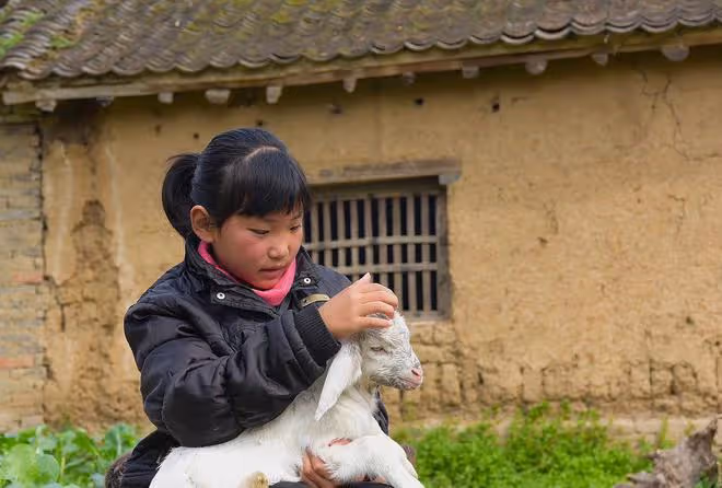 當年給兒子的女同學做了半年的午飯，她考上大學後，卻這樣報答我