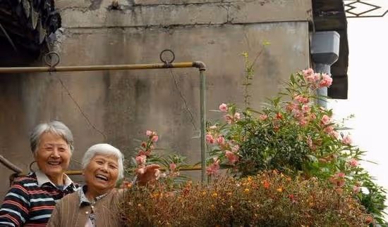 和姐妹搭夥過五年，最後一個人回老家：抱團養老不好過