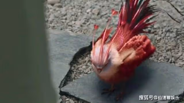 差評不斷!趙麗穎首當監製翻車,39集古裝劇剛播5天就被喊停