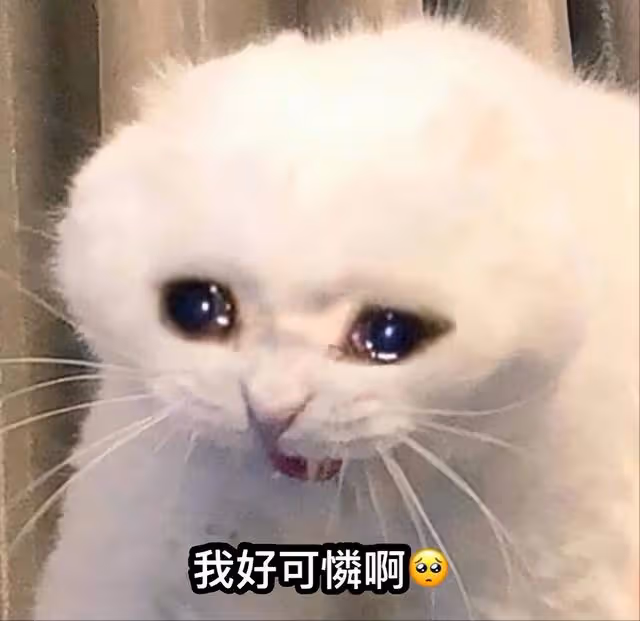 續翟瀟聞說錯霸王茶姬後，團員夏之光也口誤！網友：誰來抱抱茶王