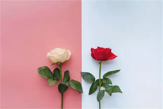參加完秋天的第一場婚禮後，我和閨蜜結束了10年姐妹情