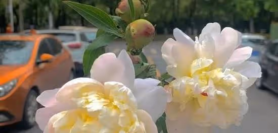 跟不喜歡的人談戀愛，是一種怎樣的感受？