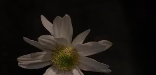 跟不喜歡的人談戀愛，是一種怎樣的感受？