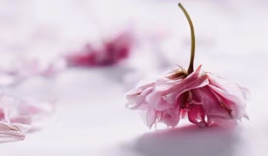 41歲離異女士：我離婚3次了，和大家說說離婚後的真實生活