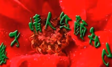 異性相吸告訴我們不可能有紅顏知己，找個高級藉口找情人而已
