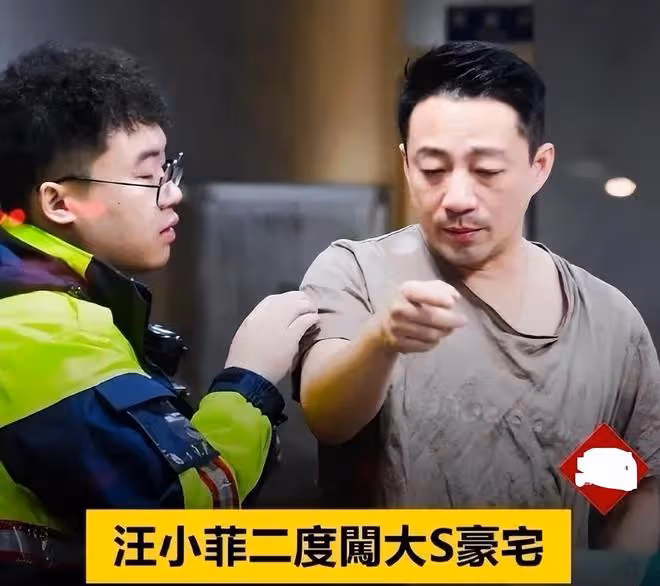 汪小菲保姆還原玥兒被搶細節：遭壯漢強行推倒搶走，腰也被閃了