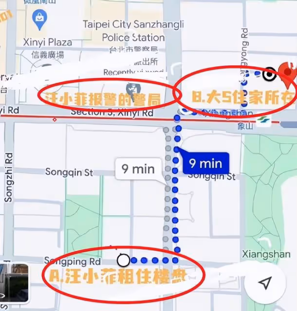 汪小菲保姆還原玥兒被搶細節：遭壯漢強行推倒搶走，腰也被閃了