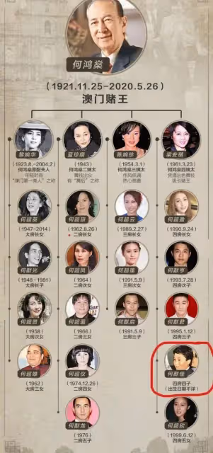 奚夢瑤4歲兒子：長得像何猷君，賭王唯一男孫，卻比不上二房孫女