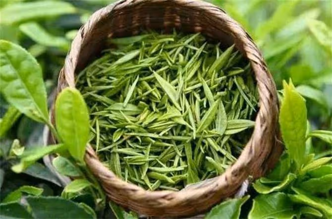綠茶什麼茶最好喝?經評比,這4款綠茶脫穎而出,有你家鄉的嗎?