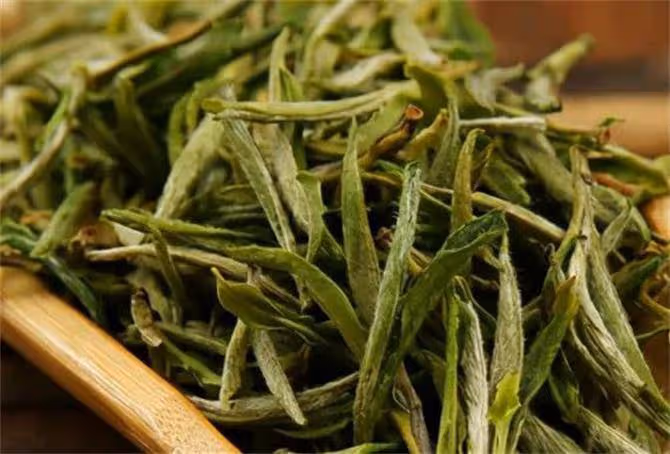 綠茶什麼茶最好喝?經評比,這4款綠茶脫穎而出,有你家鄉的嗎?