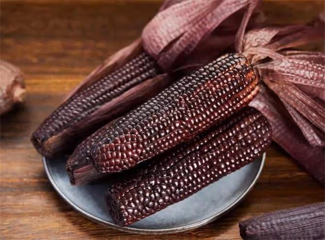 第一次見的黑玉米是轉基因食品嗎?到底吃了有啥好處?