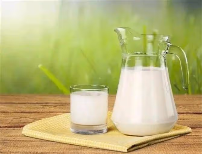 羊奶、牛奶有啥區別,哪種營養價值高?羊奶粉為啥這麼貴?