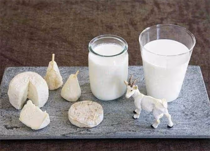 羊奶、牛奶有啥區別,哪種營養價值高?羊奶粉為啥這麼貴?