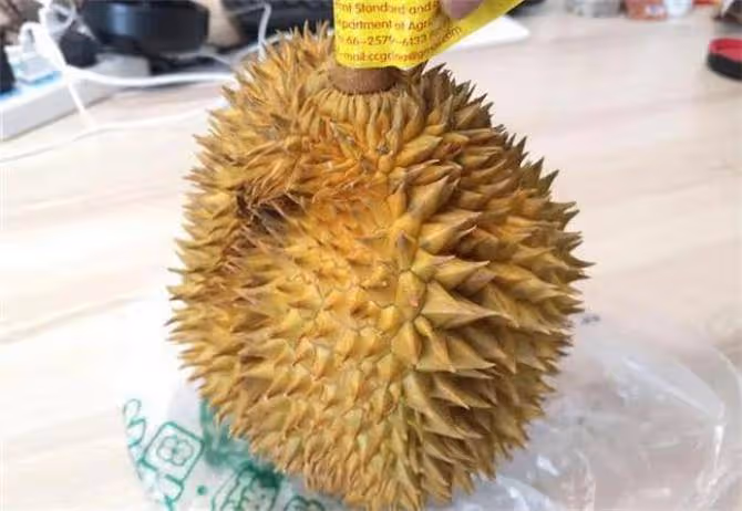 榴槤千萬不能挑圓形,沒有凹凸感的榴槤,刺也不能太大
