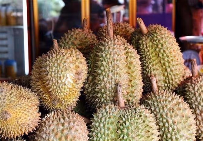 榴槤千萬不能挑圓形,沒有凹凸感的榴槤,刺也不能太大