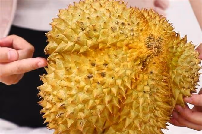 榴槤千萬不能挑圓形,沒有凹凸感的榴槤,刺也不能太大