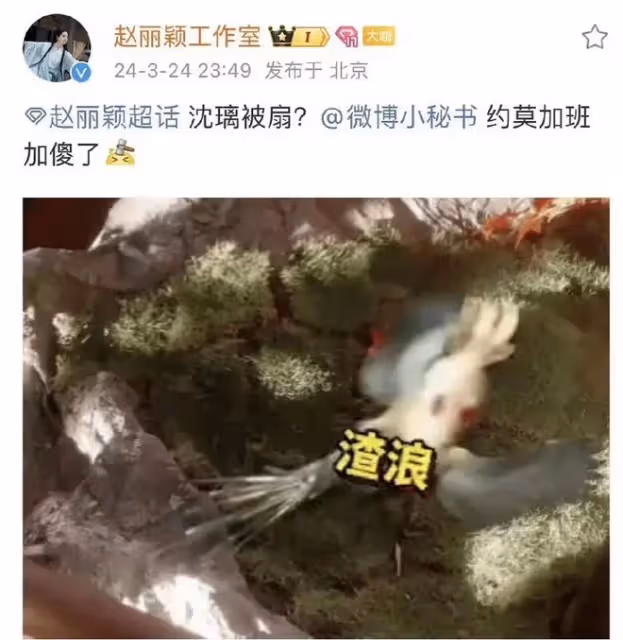 趙麗穎工作室深夜發文!針對不利於藝人的詞條,直接艾特了平台方