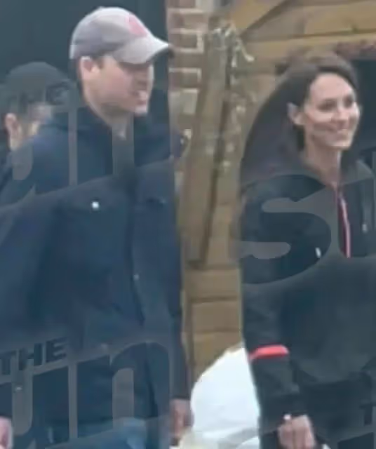 又反轉!凱特王妃露面視頻被質疑造假,服裝髮型與七年前一模一樣