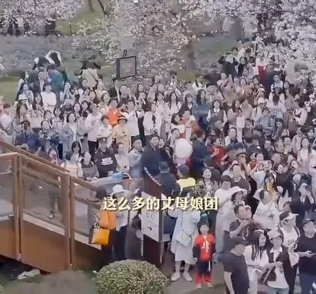 董宇輝被指耍大牌,大學教授都給他做陪襯,但網友紛紛為他喊冤!