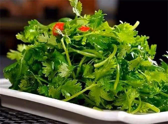 「芫荽」別名叫香菜,農村種來當菜吃,可知它還是一味好藥材?
