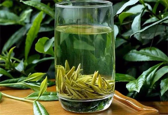 綠茶什麼茶好喝一點?這6種茶你喝過幾種,你家鄉產什麼茶?