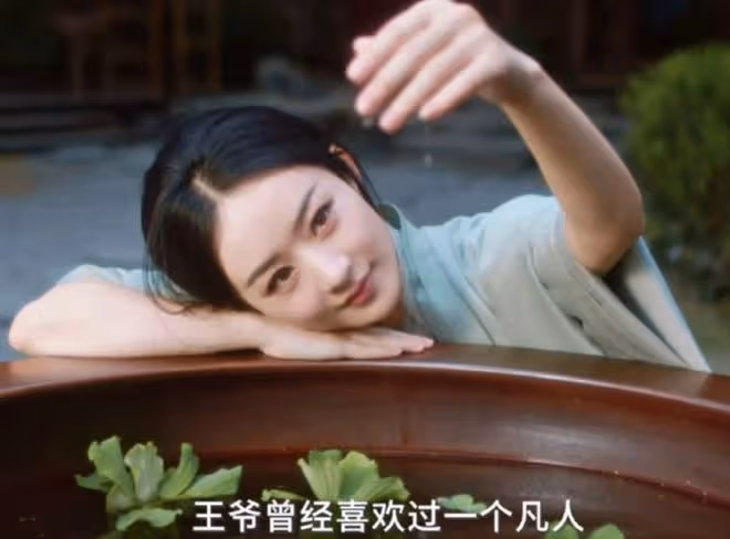 《與鳳行》成「照妖鏡」，披在趙麗穎身上的遮羞布，被狠狠扯下！