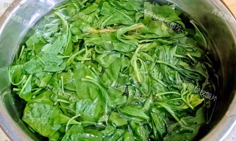 薺菜香椿靠邊站,抓緊吃「春天第一鮮」,全身是寶,很多人沒吃過