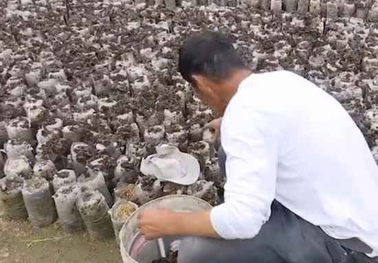 62歲男相親:兩人錢放一起花,大姐:我工資要自己養老,花男方的