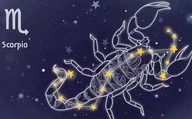 嘴上毒舌,外表冷血,卻很會照顧人的三大星座