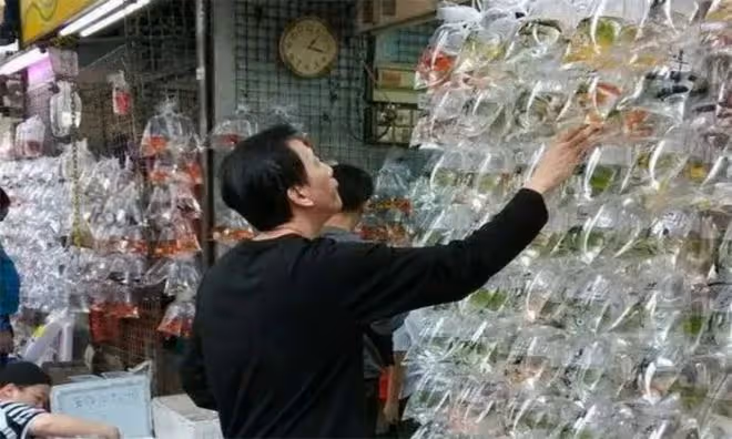 2005年，河南男子尋親多年無果，女兒放學：爸，有人跟你長得一樣