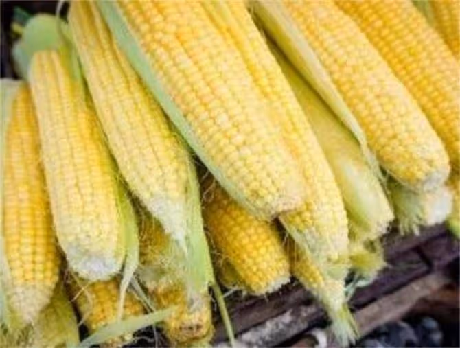 玉米熟的保存還是生的保存?記住這個技巧,放一年味道也不變