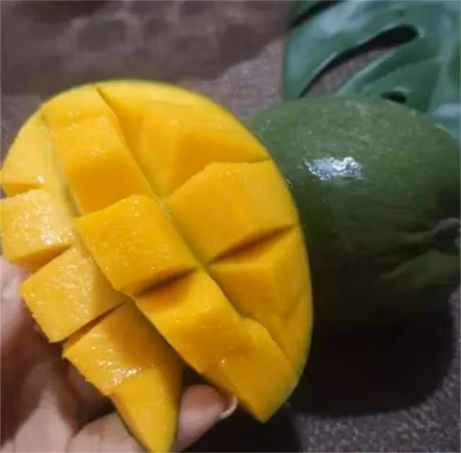 凱特芒果怎樣才算熟?教你三個方法挑出成熟好芒果