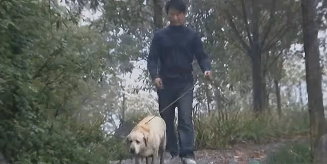 09年,四川男子撿到流浪黃狗,嚇得妻女回娘家,結果黃狗身份不凡