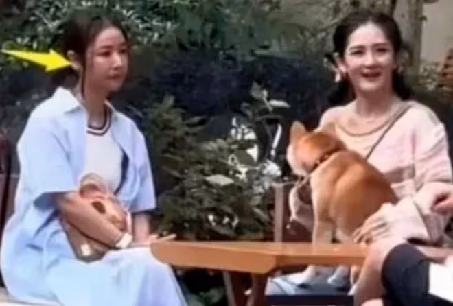 48歲林心如和50歲王艷的生圖，治好了我的容貌焦慮